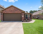 10514 Chestnut Path Way, Tomball image