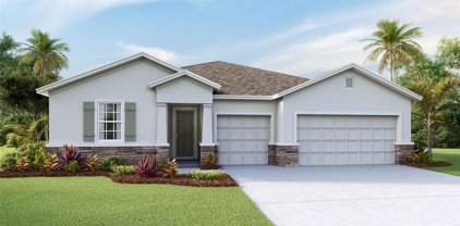 8238 Sw 59th Avenue, Ocala