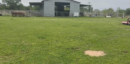 11817 County Road 339, Tyler