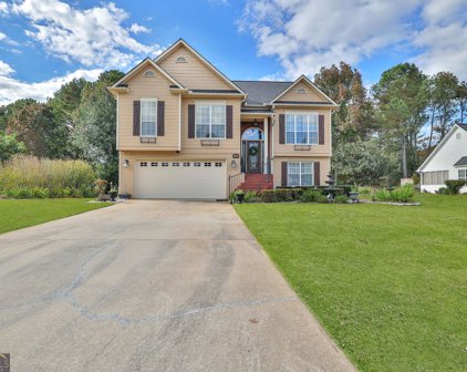 5268 Fawn Ivey Lane, Buford