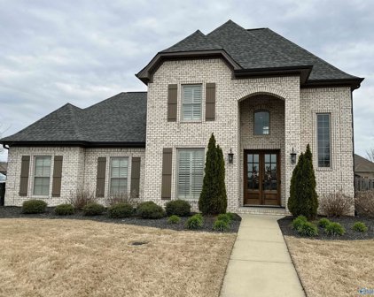 22389 Lochmere Boulevard, Athens