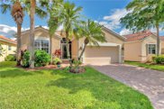20319 Castlemaine Ave, Estero image