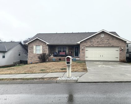 2517 Willow Bend Drive, Maryville