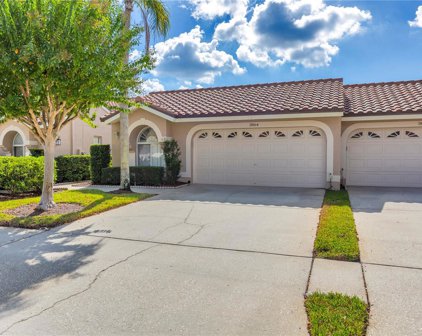 3864 Darston Street, Palm Harbor