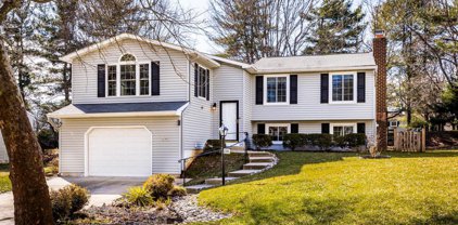 6588 Robin Song, Columbia