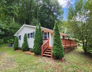 21 RED RED LN, Sylva image
