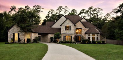 5006 Ossineke Court, Spring