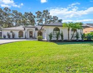 1509 Chukar Ridge, Palm Harbor image
