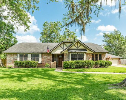 60 Poplar Court, Lake Jackson