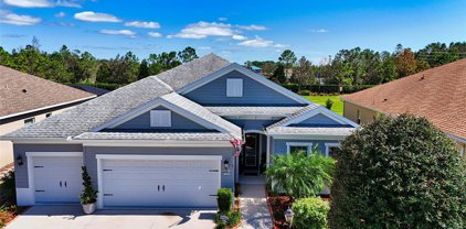 1204 Thornbury Drive, Parrish