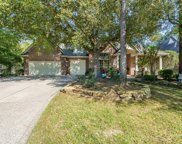 94 E Fairbranch Circle, The Woodlands image