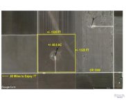40 ACRES Cr 3300, Raymondville image