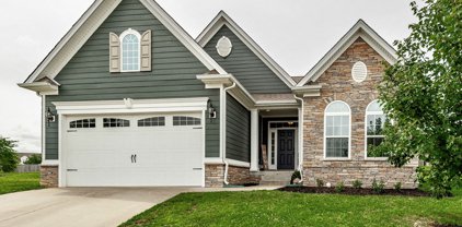 116 Rotondi Ct, Gallatin