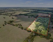 TBD CR 4325 17 AC, Mt Pleasant image