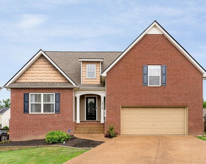 1810 Baslia Ln, Spring Hill