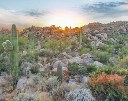 1768 W Tortolita Mountain Unit #581, Oro Valley