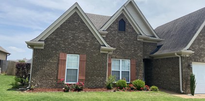 4196 Wildberry Drive, Southaven