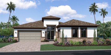 8749 Drummer Plank Drive, Wesley Chapel