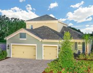 10620 Falling Leaf Court, Parrish image