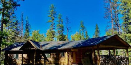 21588 Double Pine Lane, Bigfork
