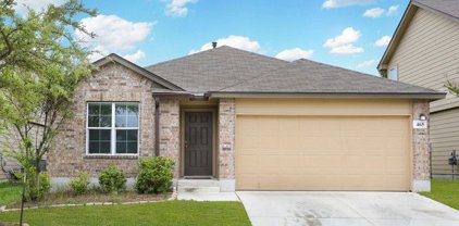 465 Eastern Phoebe, San Antonio