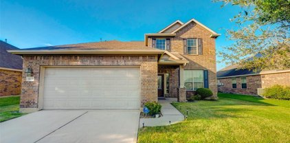 8702 Sweet Pasture Drive, Tomball