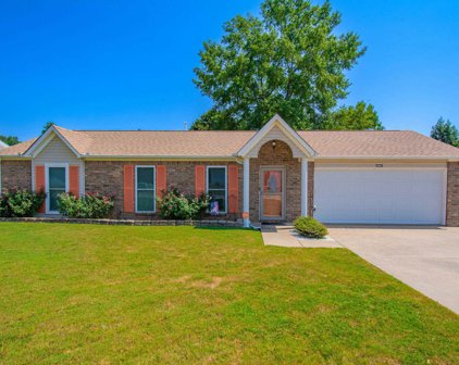 14125 Rockinghorse, Alexander