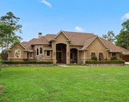 28823 Reserve Parkway, Huffman image