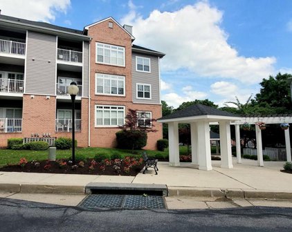 8712 Groffs Mill Dr Unit #8712, Owings Mills