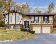 14562 Tramore  Drive, St Louis image