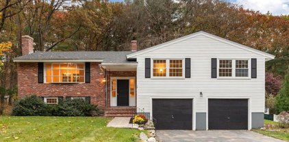4 Laredo Drive, Chelmsford