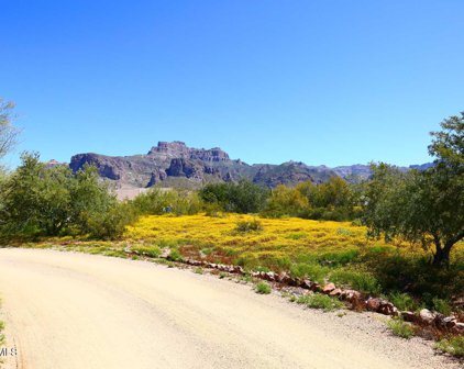 318 S Sixshooter Road, Apache Junction
