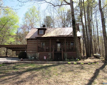 267 Road 911, Fort Payne