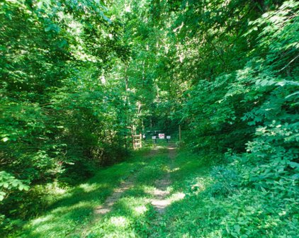 Pine Valley Rd, Ashland City