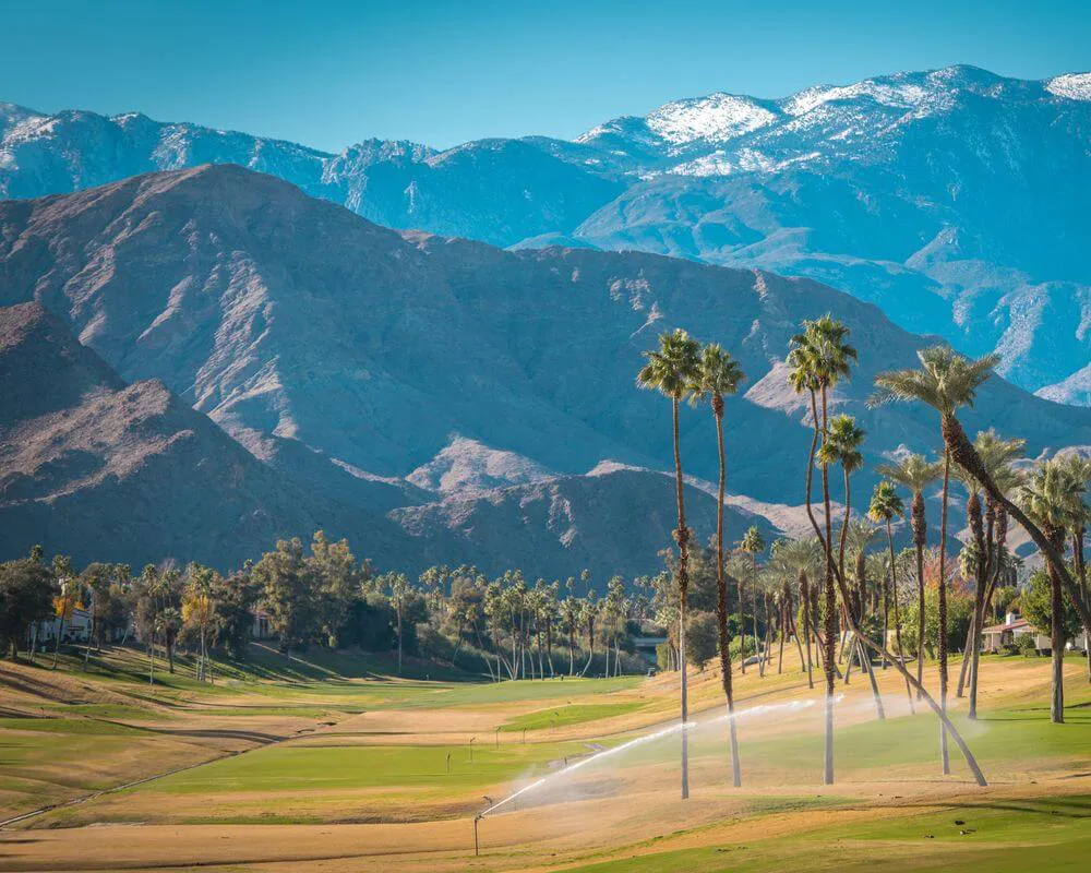 Palm Desert Real Estate