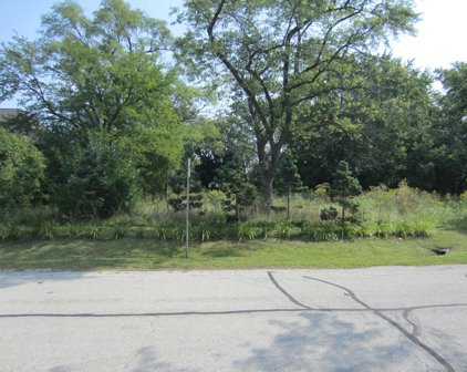 3216 N Salk Road, Arlington Heights