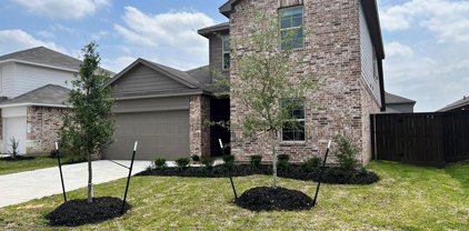 21578 Starry Night Dr, New Caney