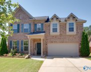 29860 Copper Run Drive, Harvest image
