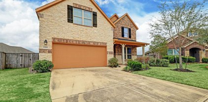 1304 Ownby Court, Pearland