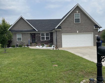203 Raleigh Pl, Shelbyville