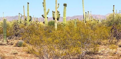 E Hemlock, Marana