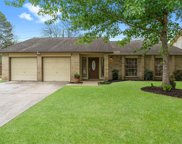 6903 Falling Waters Drive, Spring image