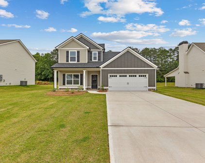 112 Standing Oaks Drive, Senoia