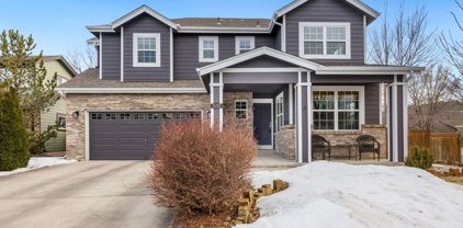1533 Wasp Ct, Fort Collins