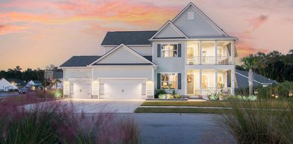 2685 Arborcrest Court, Mount Pleasant