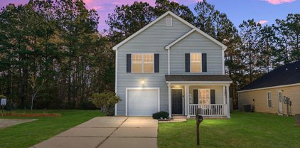 1226 Wild Goose Trail, Summerville