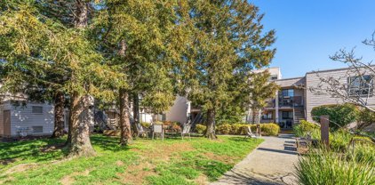 938 Via Casitas, Greenbrae
