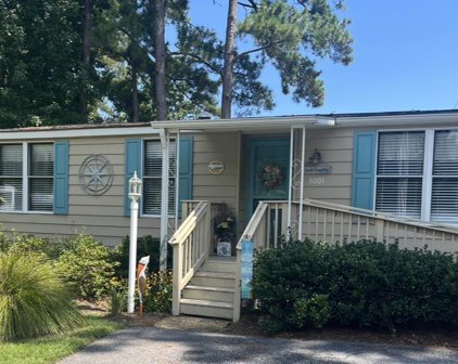 3001 Davidson Trail, Murrells Inlet