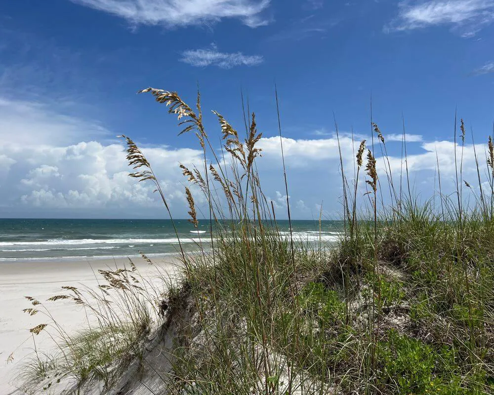 Figure Eight Island Real Estate