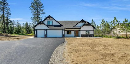 17527 TAMBOTI, Hauser